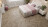 LVT плитка Alpine Floor Дуб Натуральный Отбеленный Chevron ECO 20-3