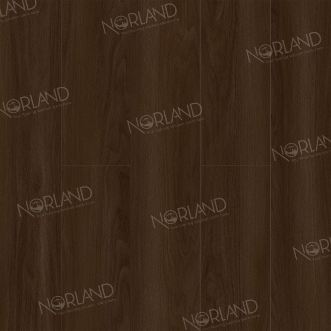 Ламинат Norland Elegant LF301-22 Дуб Треско