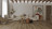 LVT плитка Alpine Floor Дуб Дриада ЕСО 5-44