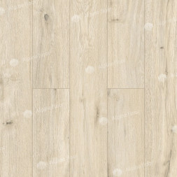 Ламинат Alpine Floor Original LF100-02 Дуб Салерно