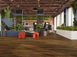 LVT плитка Loose Lay Alpine Floor Дуб Натуральный Изысканный ECO 23-4