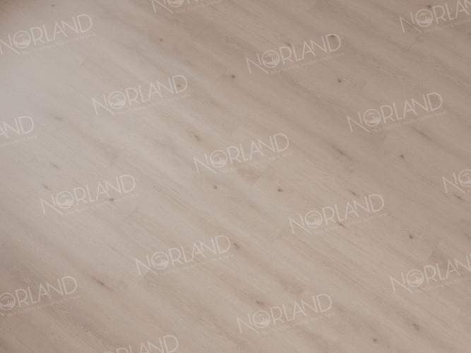 LVT плитка Norland Alante LVT 1003-5